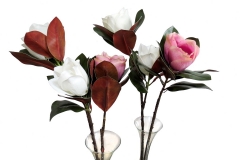 095 Cveće od organskih materijala